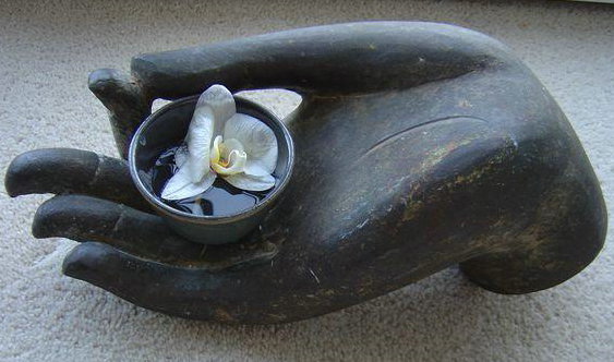 lotus
